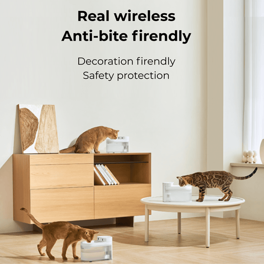 CATLINK W03 Smart Cat Water Fountain - Wireless - Catlink EU