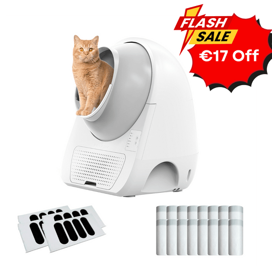 Catlink Young Self - Cleaning Litter Box - Catlink EU