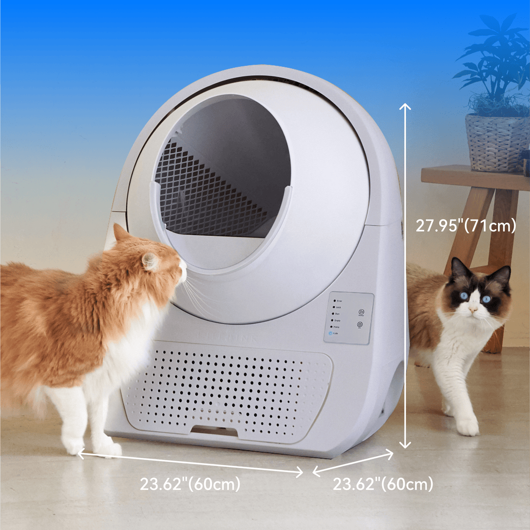 Catlink Young Self - Cleaning Litter Box - Catlink EU
