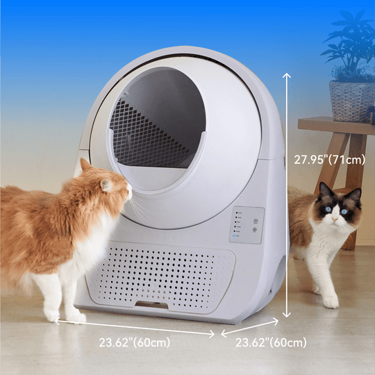 Catlink Young Self - Cleaning Litter Box - Catlink EU