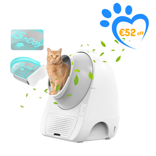 Catlink Young Self - Cleaning Litter Box - Catlink EU
