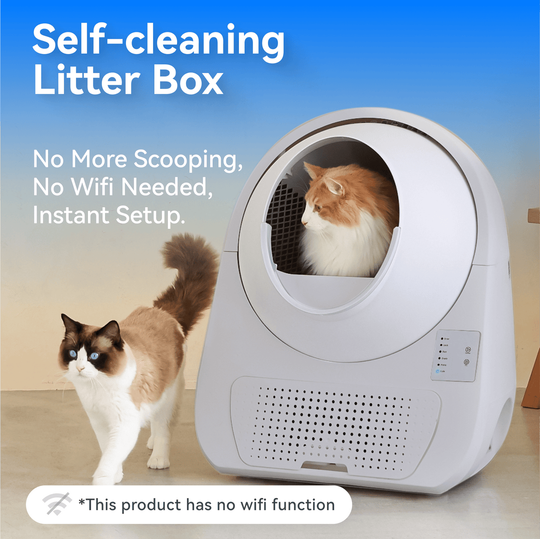 Catlink Young Self - Cleaning Litter Box - Catlink EU