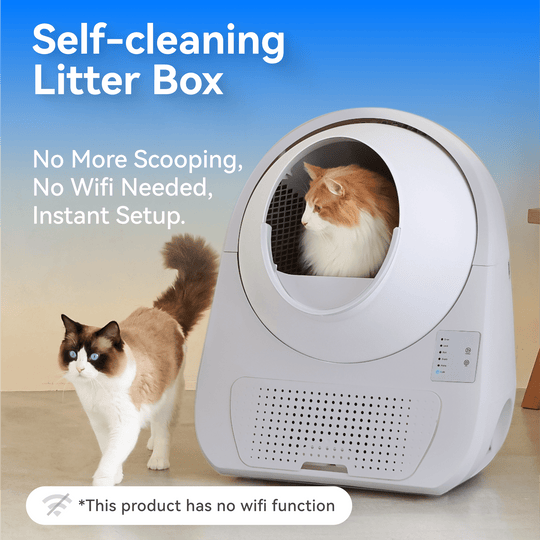 Catlink Young Self - Cleaning Litter Box - Catlink EU