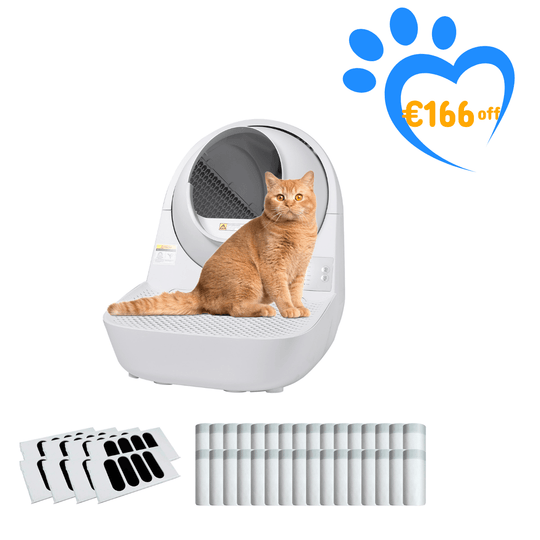 Catlink Young Self - Cleaning Litter Box - Catlink EU