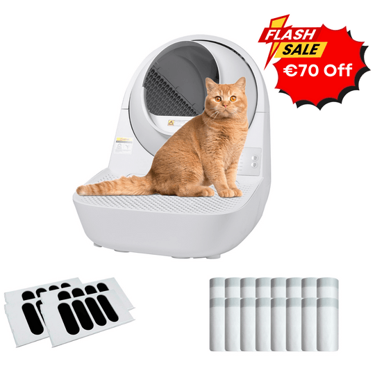 Catlink Young Self - Cleaning Litter Box - Catlink EU