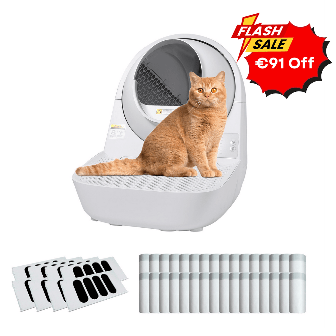 Catlink Young Self - Cleaning Litter Box - Catlink EU