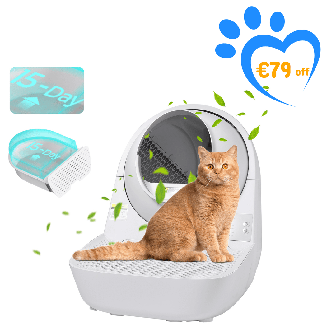 Catlink Young Self - Cleaning Litter Box - Catlink EU