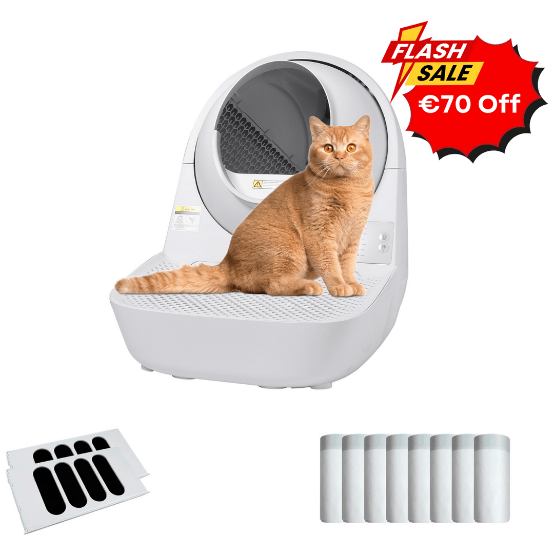 Catlink Young Self - Cleaning Litter Box - Catlink EU