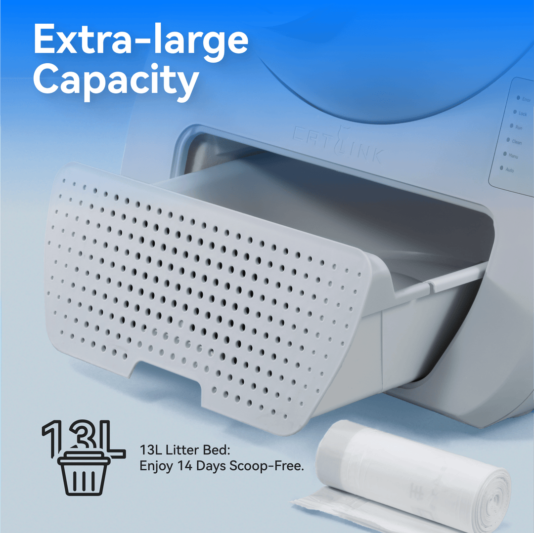 Catlink Young Self - Cleaning Litter Box - Catlink EU