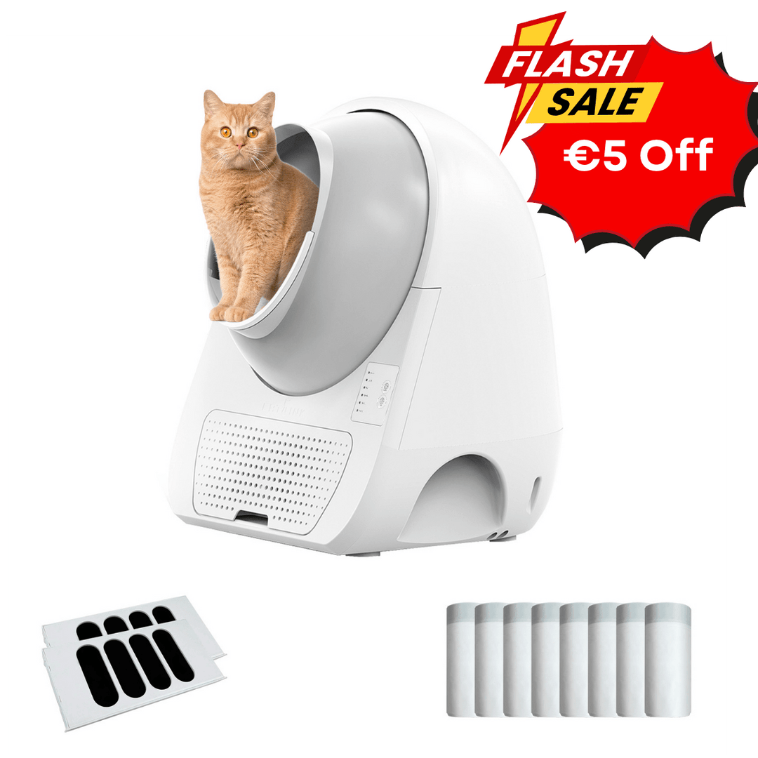 Catlink Young Self - Cleaning Litter Box - Catlink EU