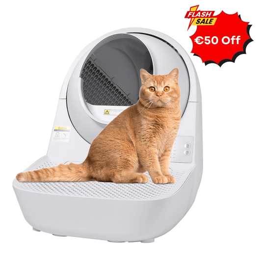 Catlink Young Self - Cleaning Litter Box - Catlink EU