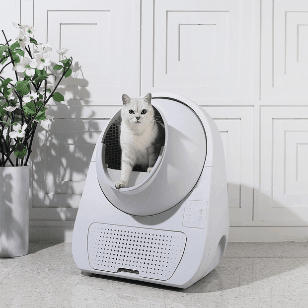 Catlink Young selbstreinigende Katzentoiletten-Treppe - Twopoint