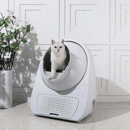 Catlink Young selbstreinigende Katzentoiletten-Treppe - Twopoint