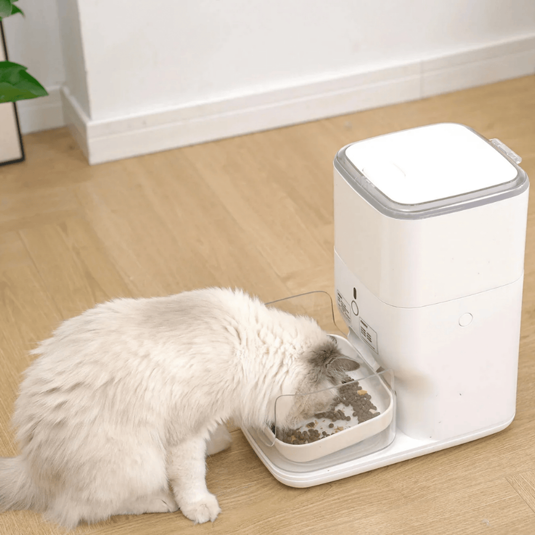 Clean & Feed Bundle - Litter Box, Feeder & Water Fountain Complete Set - Catlink EU