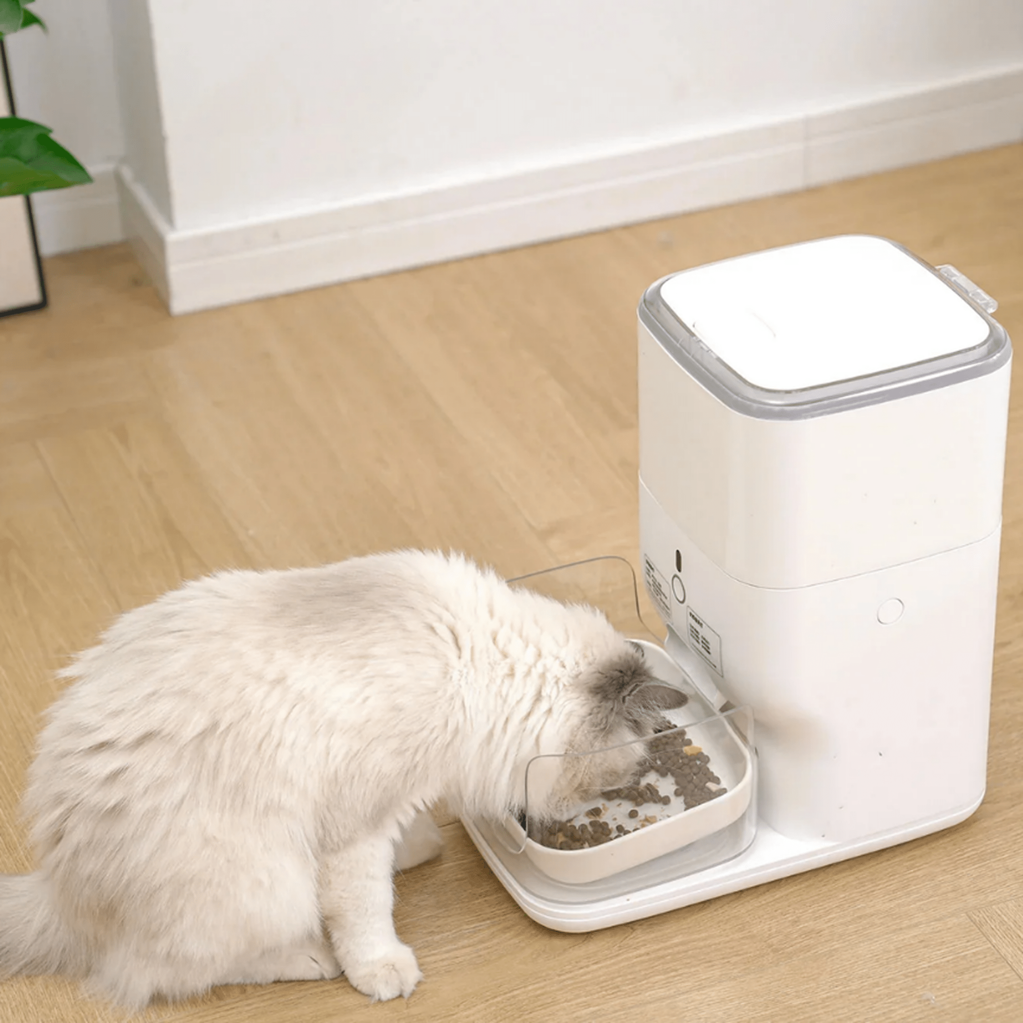 Clean & Feed Bundle - Litter Box, Feeder & Water Fountain Complete Set - Catlink EU