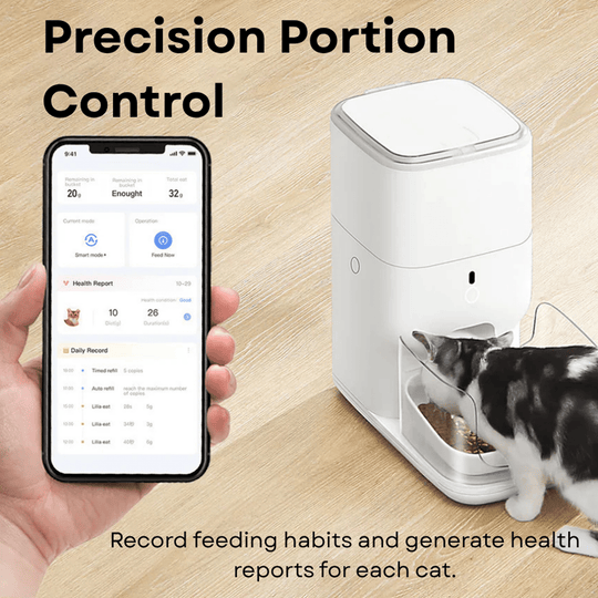Clean & Feed Bundle - Litter Box, Feeder & Water Fountain Complete Set - Catlink EU
