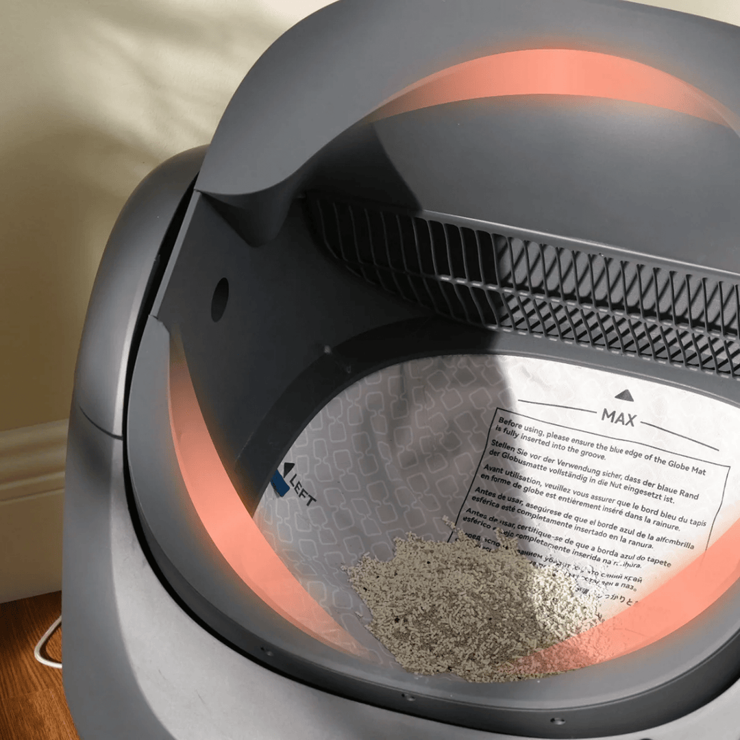 Clean & Feed Bundle - Litter Box, Feeder & Water Fountain Complete Set - Catlink EU
