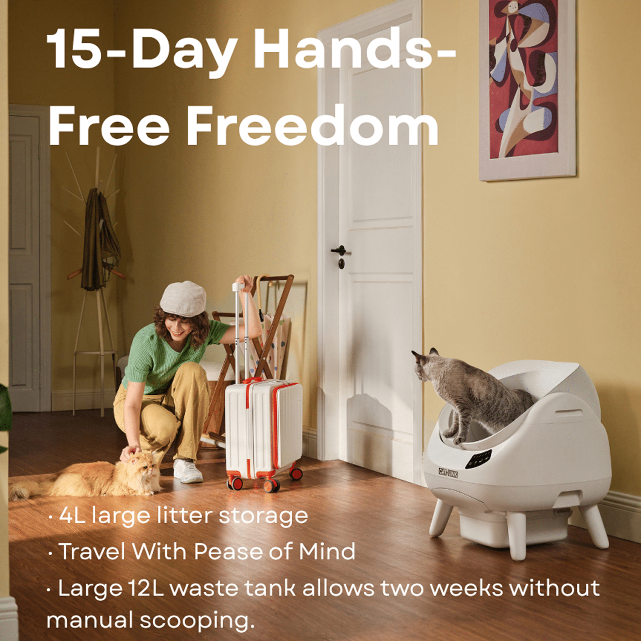 Clean & Feed Bundle - Litter Box, Feeder & Water Fountain Complete Set - Catlink EU
