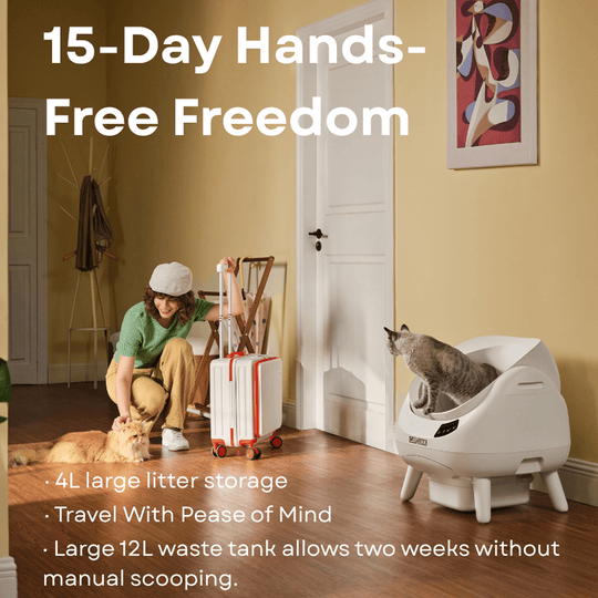 Clean & Feed Bundle - Litter Box, Feeder & Water Fountain Complete Set - Catlink EU