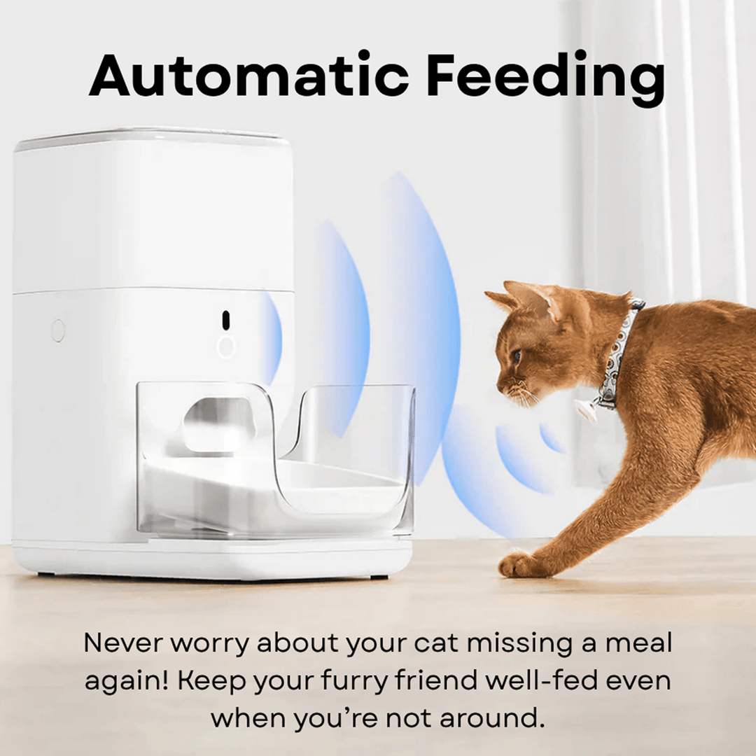 Clean & Feed Bundle - Litter Box, Feeder & Water Fountain Complete Set - Catlink EU