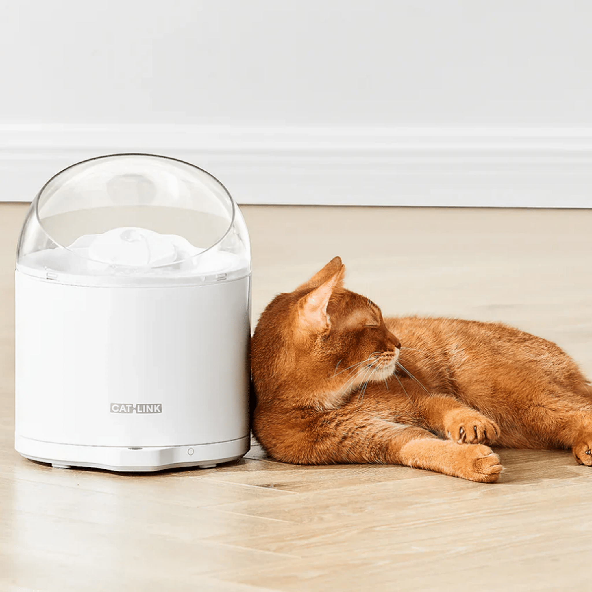 Clean & Feed Bundle - Litter Box, Feeder & Water Fountain Complete Set - Catlink EU