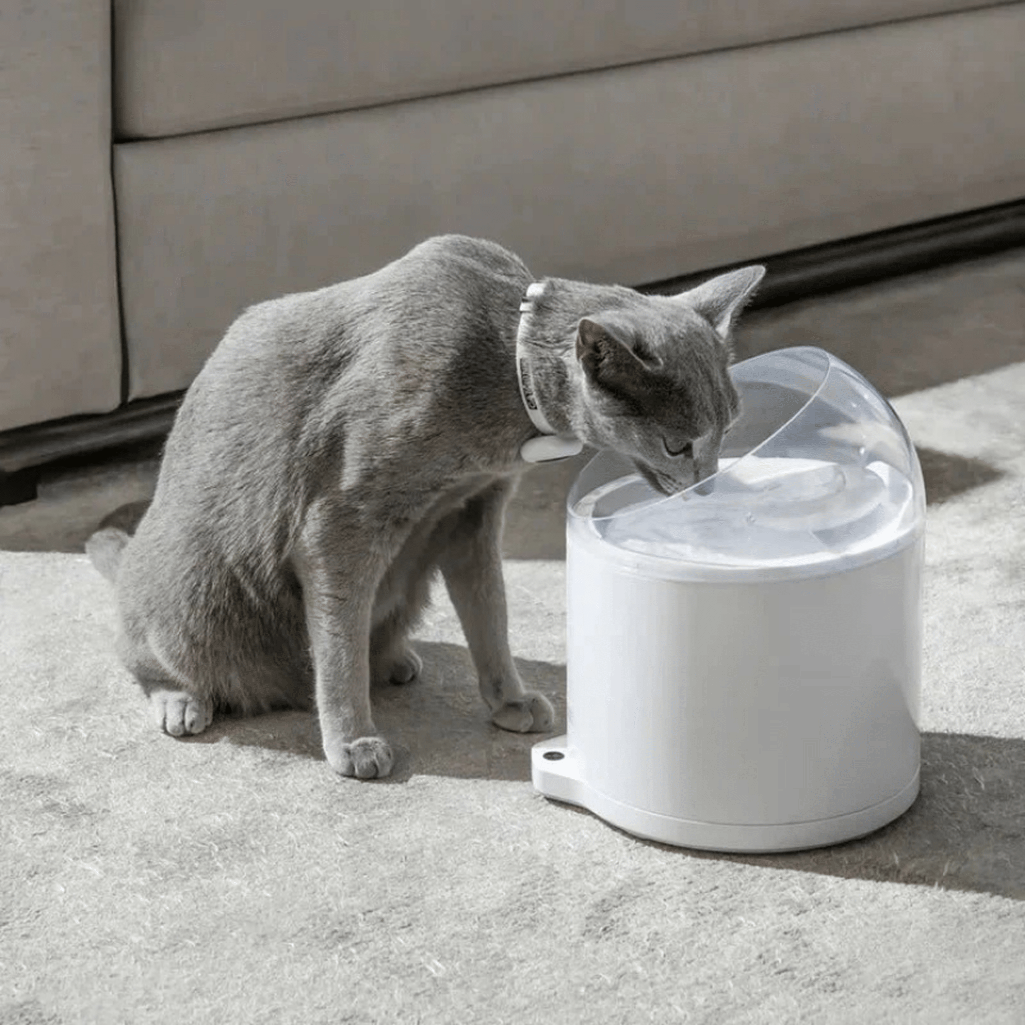Clean & Feed Bundle - Litter Box, Feeder & Water Fountain Complete Set - Catlink EU