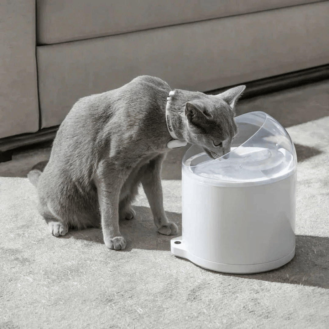 Clean & Feed Bundle - Litter Box, Feeder & Water Fountain Complete Set - Catlink EU