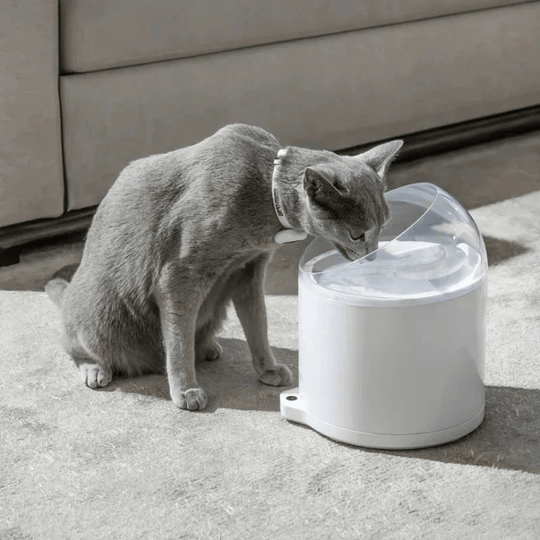Clean & Feed Bundle - Litter Box, Feeder & Water Fountain Complete Set - Catlink EU