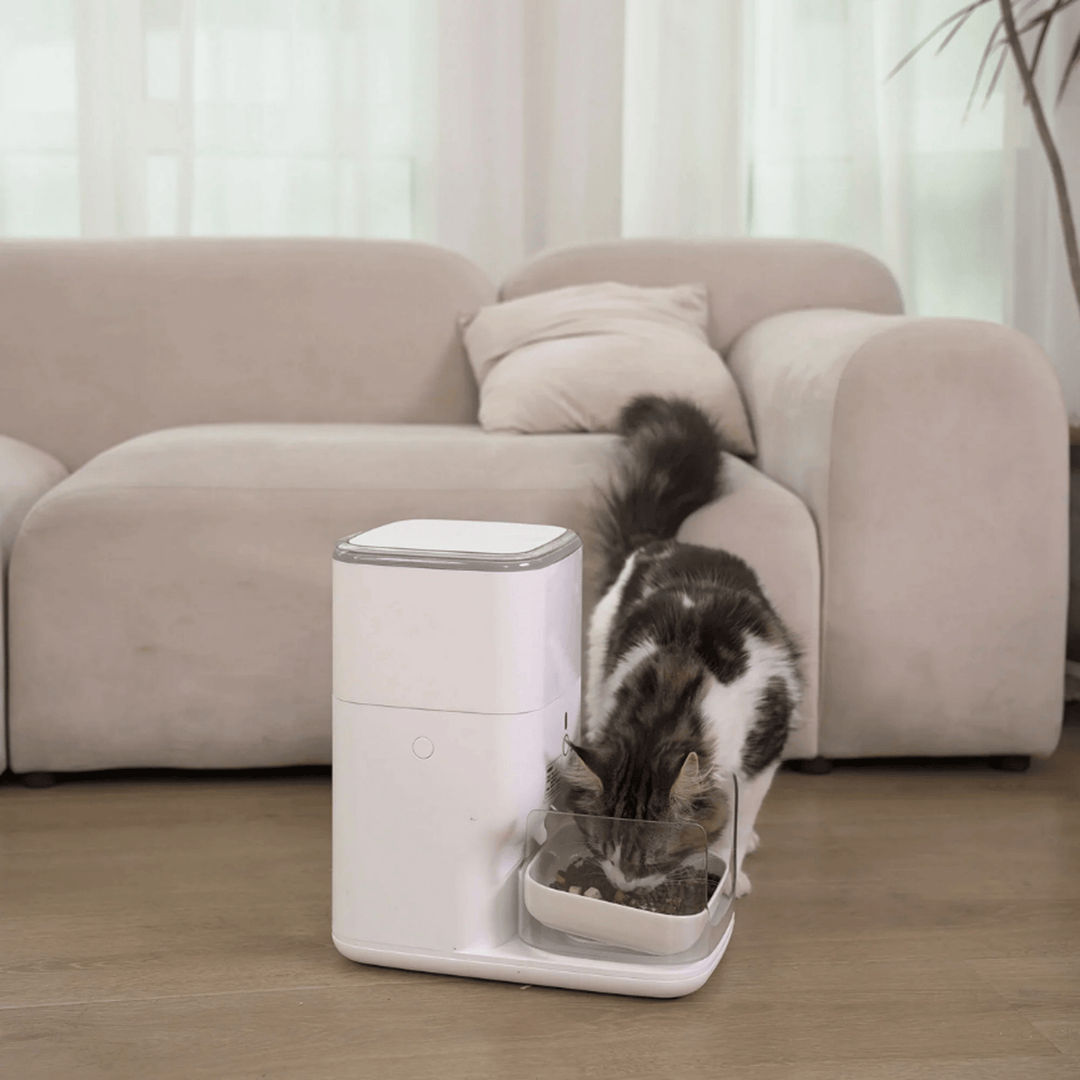 Clean & Feed Bundle - Litter Box, Feeder & Water Fountain Complete Set - Catlink EU