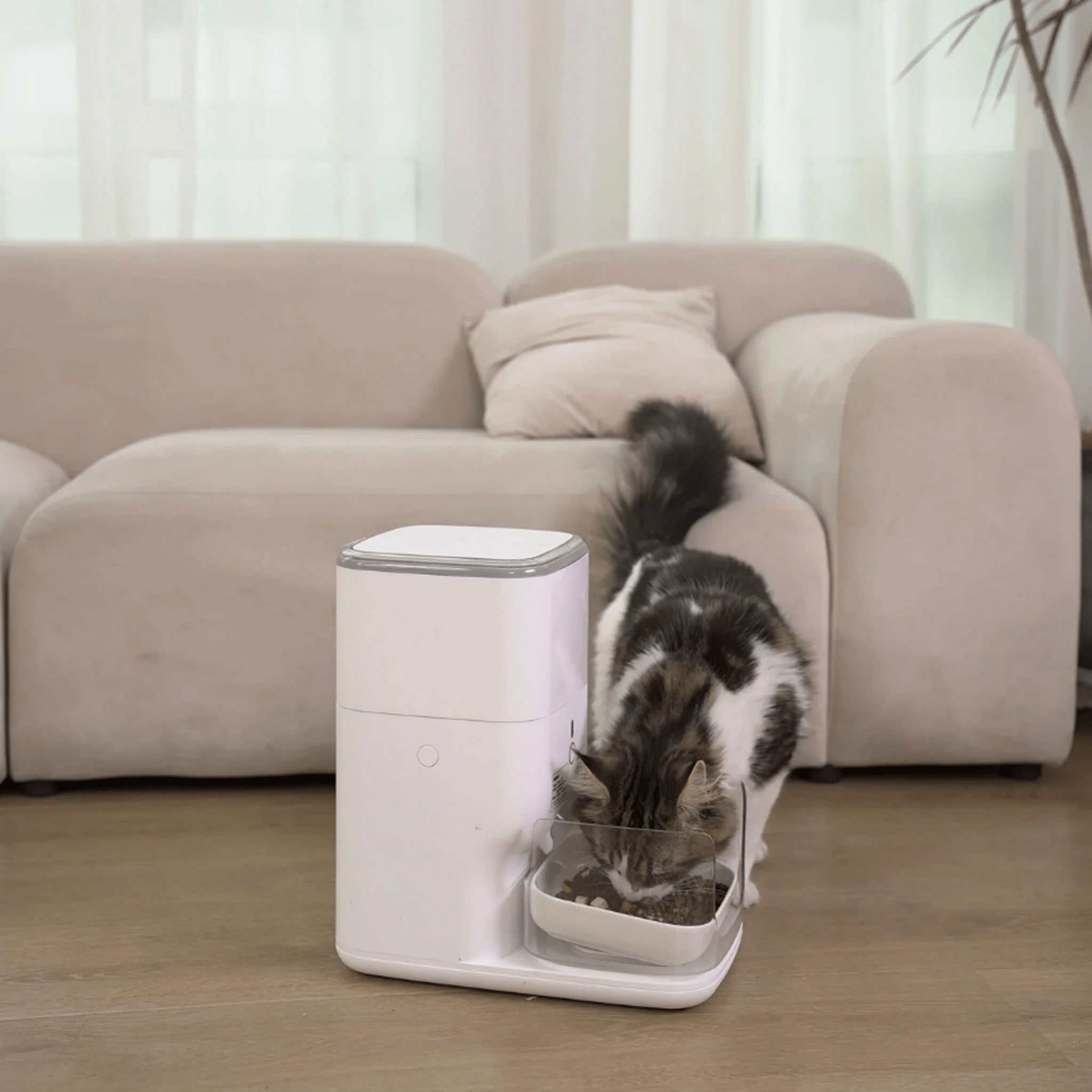 Clean & Feed Bundle - Litter Box, Feeder & Water Fountain Complete Set - Catlink EU