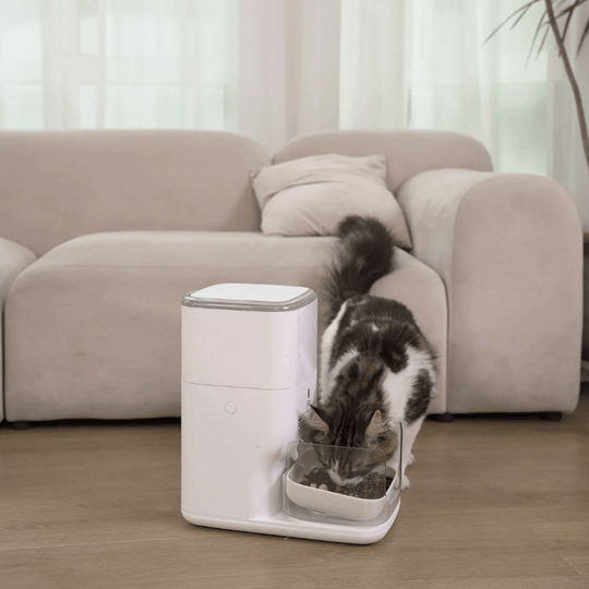 Clean & Feed Bundle - Litter Box, Feeder & Water Fountain Complete Set - Catlink EU