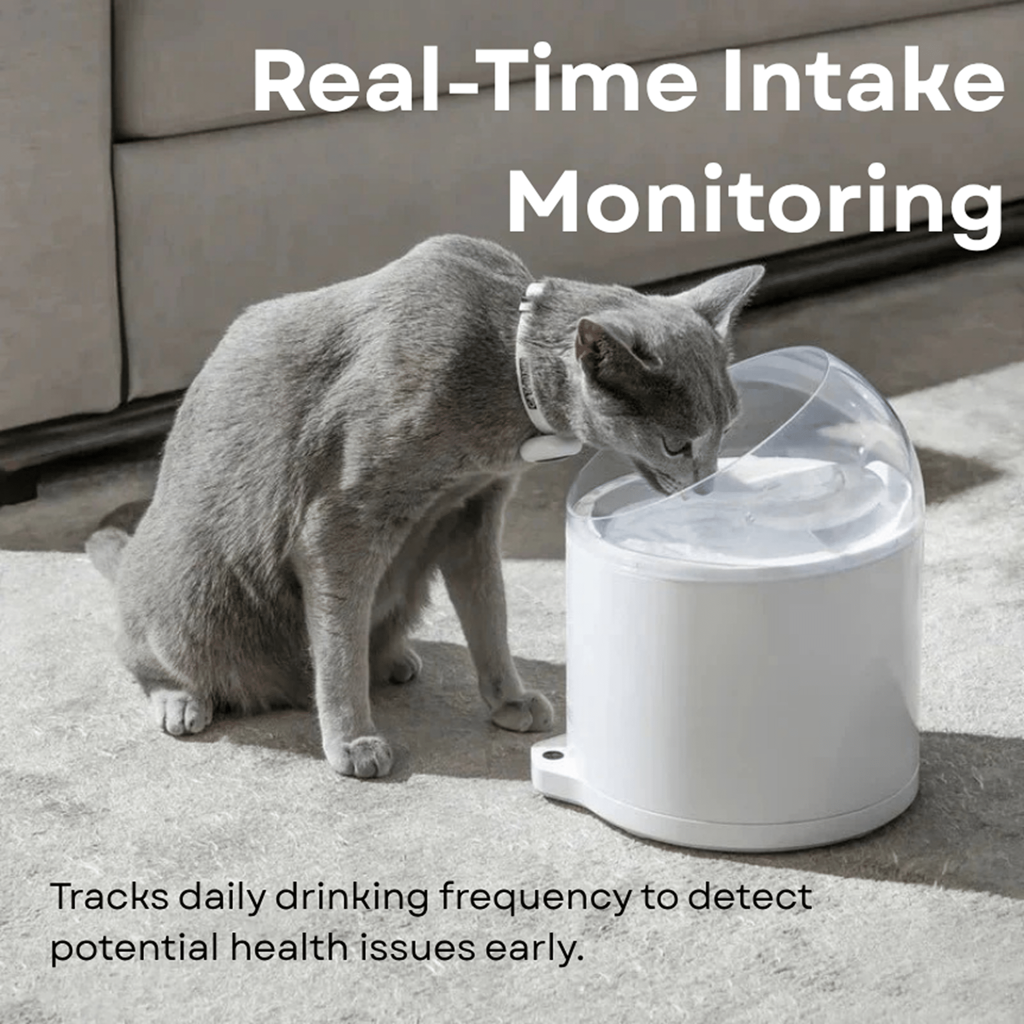 Clean & Feed Bundle - Litter Box, Feeder & Water Fountain Complete Set - Catlink EU