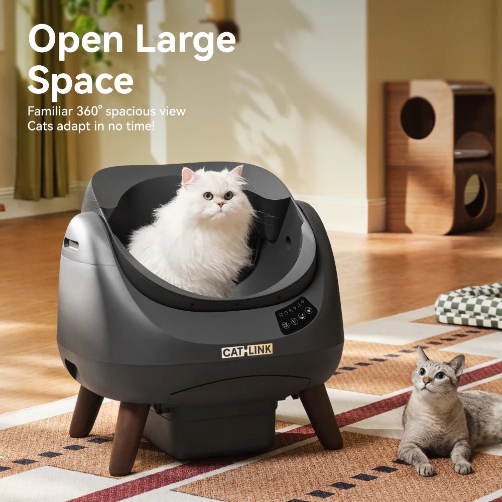 Two cats around a black CATLINK Open-X open-top litter box in a living room