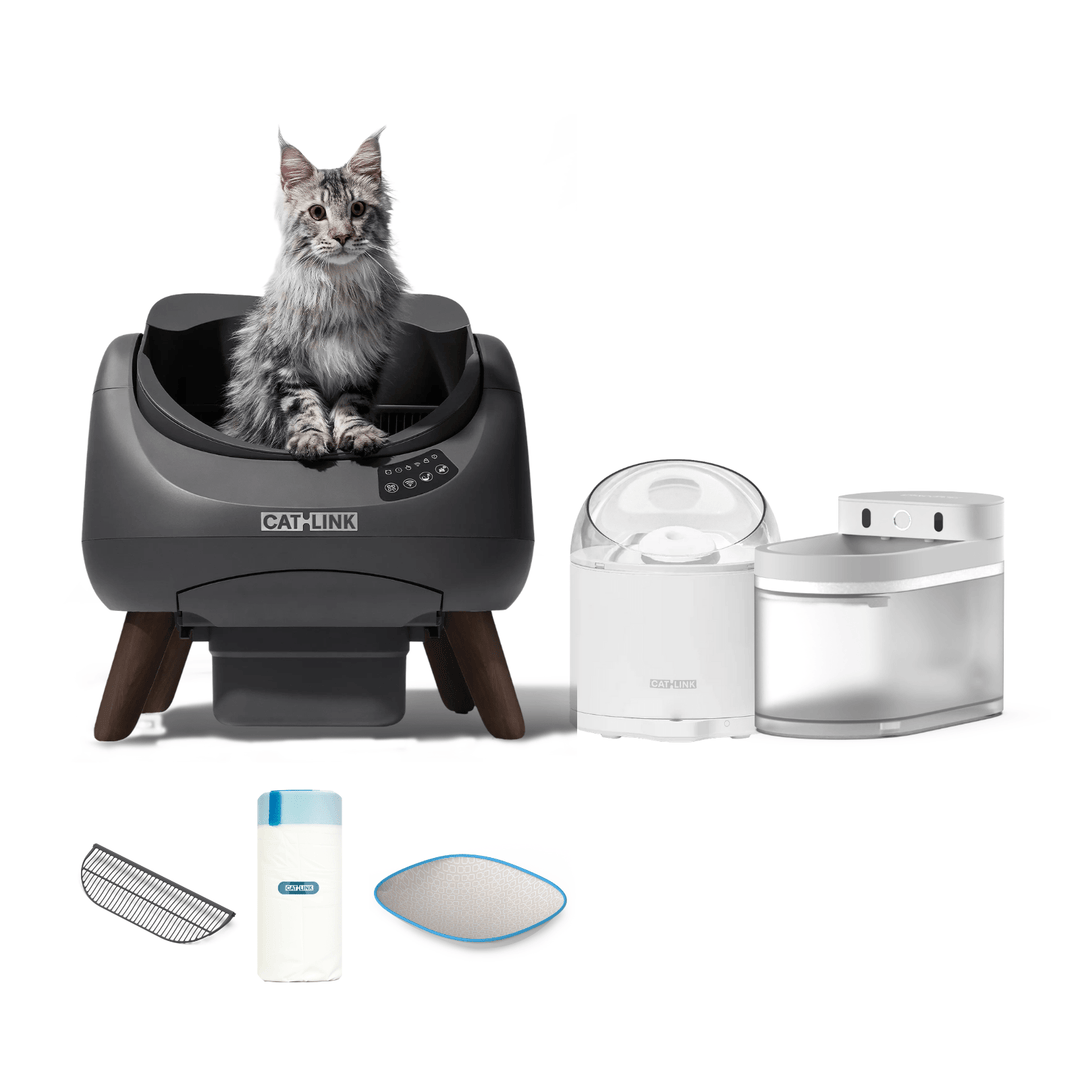 Litter Box, Feeder & Water Fountain Complete Set - Catlink EU