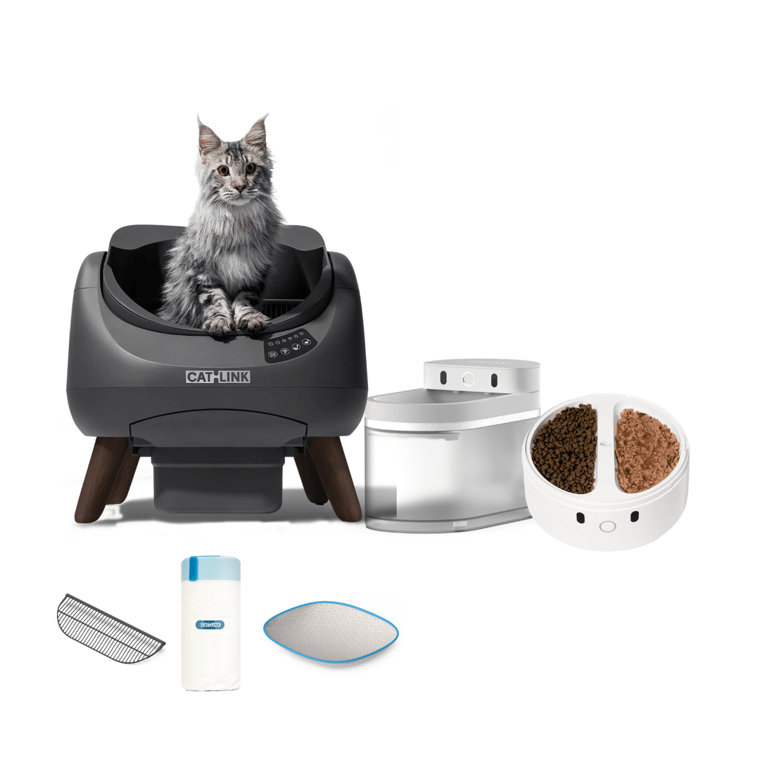 Litter Box, Feeder & Water Fountain Complete Set - Catlink EU