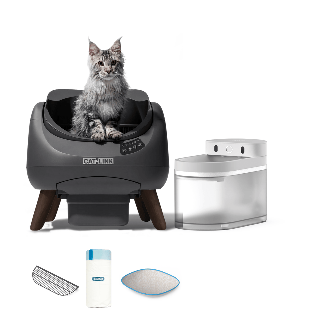 Litter Box, Feeder & Water Fountain Complete Set - Catlink EU