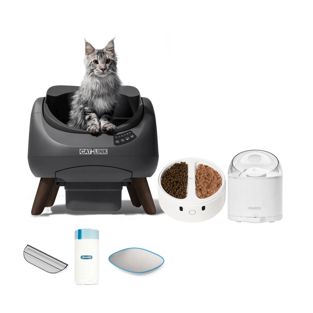 Litter Box, Feeder & Water Fountain Complete Set - Catlink EU