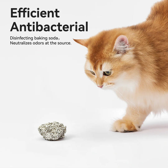 Mixed Cat Litter - Catlink EU