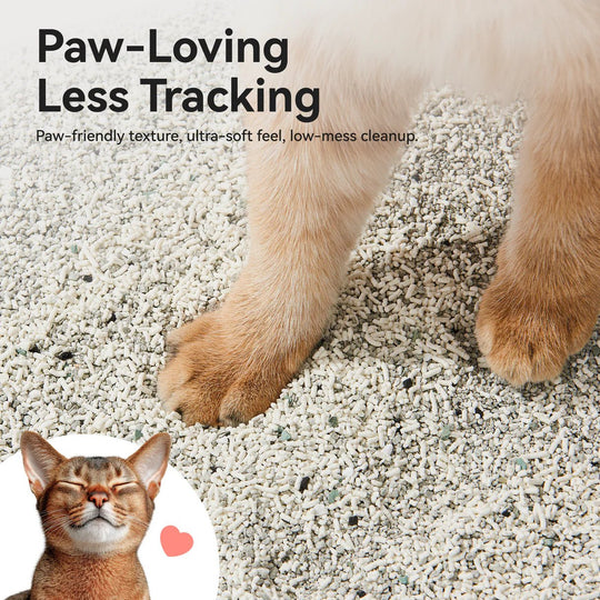 Mixed Cat Litter - Catlink EU