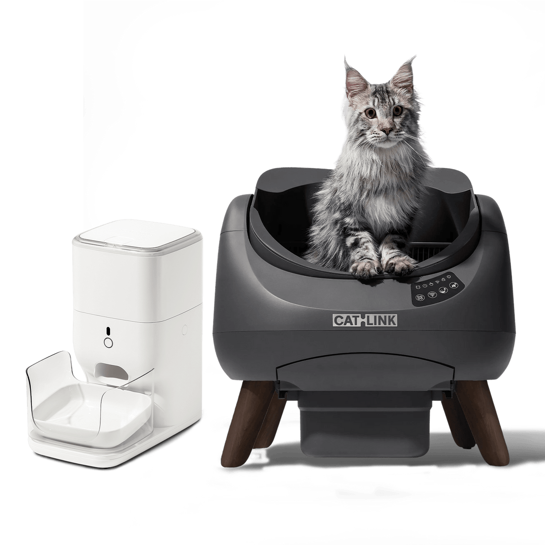 Open - X & Auto Feeder/Waterer Bundle - Catlink EU
