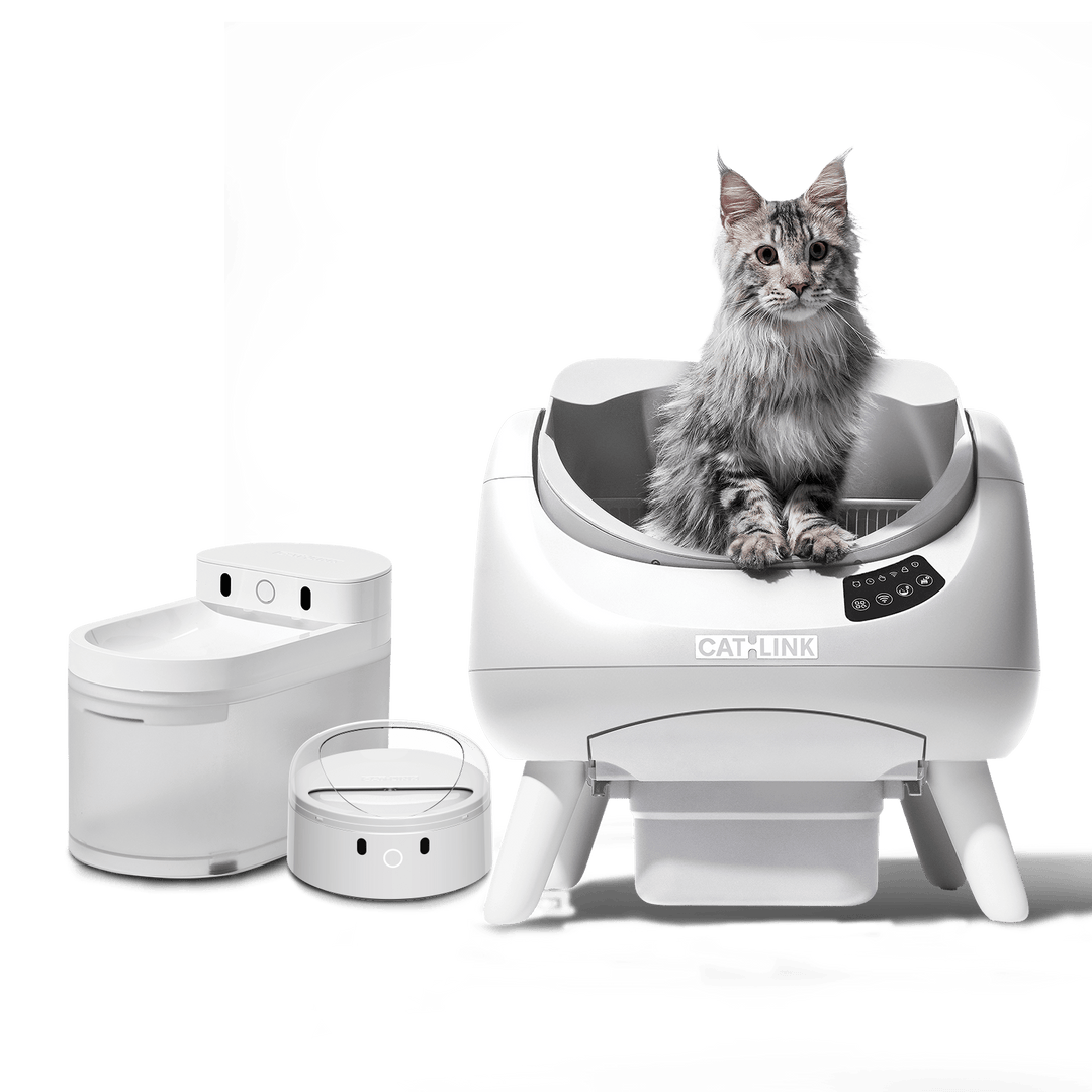 Open - X & Auto Feeder/Waterer Bundle - Catlink EU