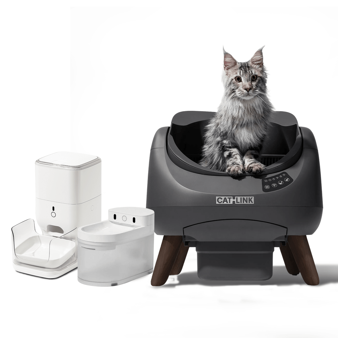 Open - X & Auto Feeder/Waterer Bundle - Catlink EU