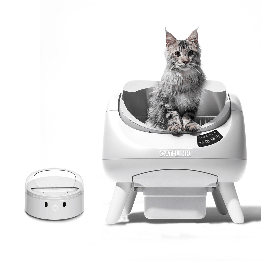 Open - X & Auto Feeder/Waterer Bundle - Catlink EU