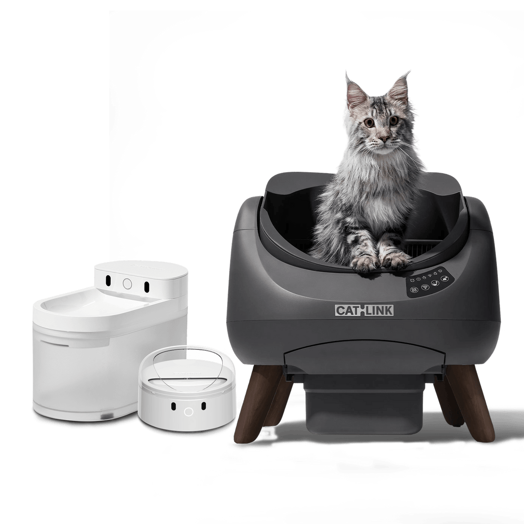 Open - X & Auto Feeder/Waterer Bundle - Catlink EU
