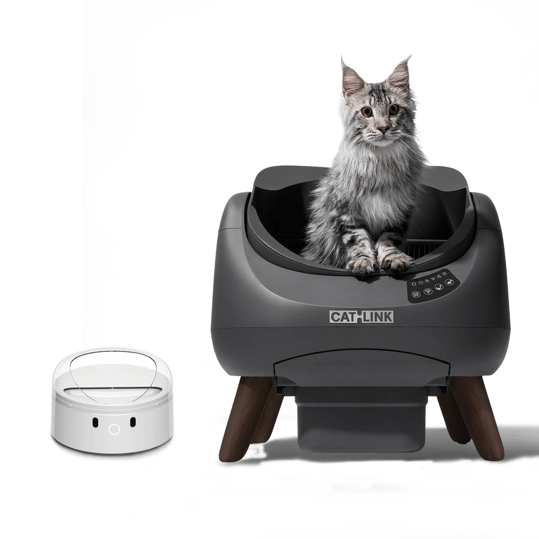 Open - X & Auto Feeder/Waterer Bundle - Catlink EU
