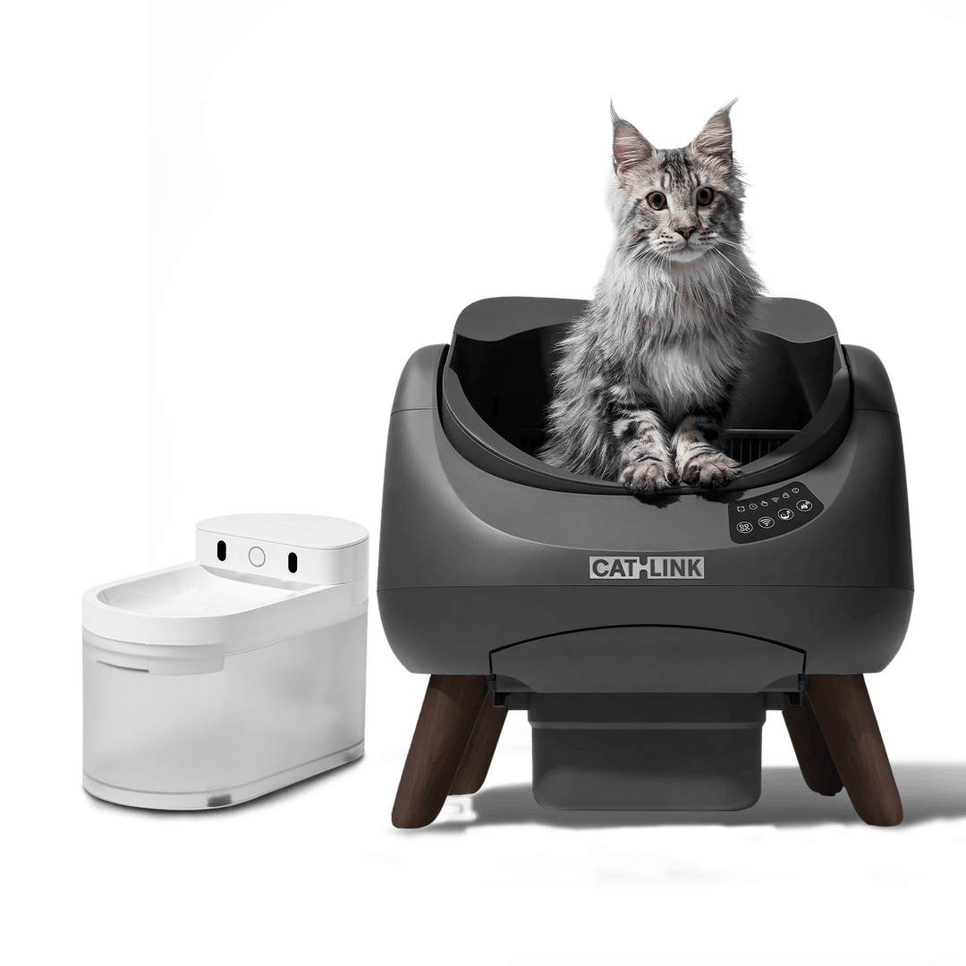 Open - X & Auto Feeder/Waterer Bundle - Catlink EU