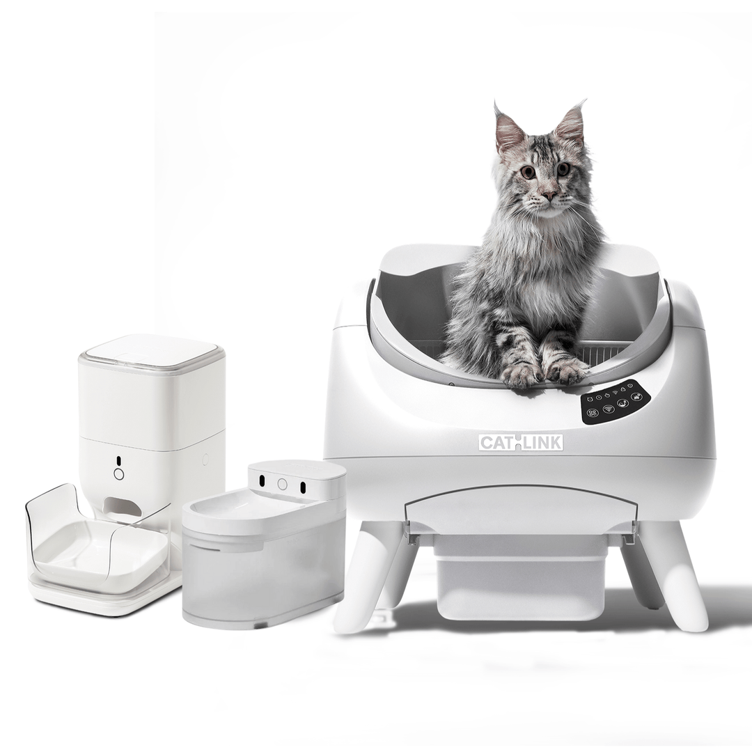 Open - X & Auto Feeder/Waterer Bundle - Catlink EU