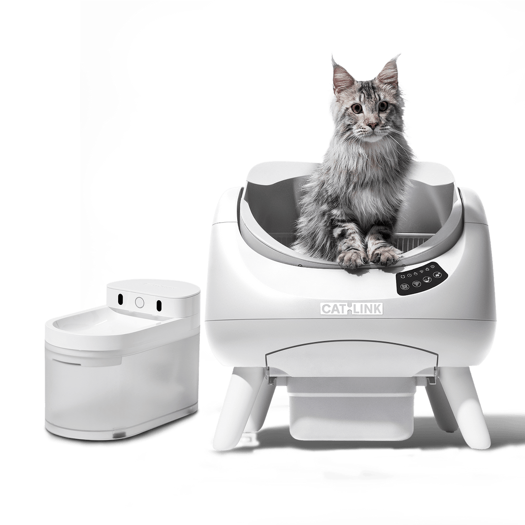 Open - X & Auto Feeder/Waterer Bundle - Catlink EU