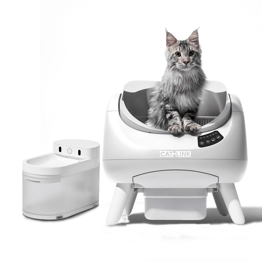Open - X & Auto Feeder/Waterer Bundle - Catlink EU