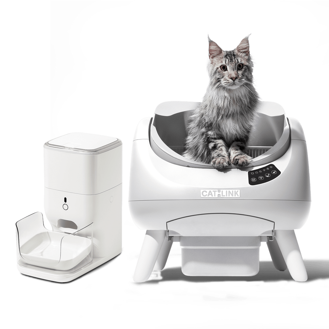 Open - X & Auto Feeder/Waterer Bundle - Catlink EU